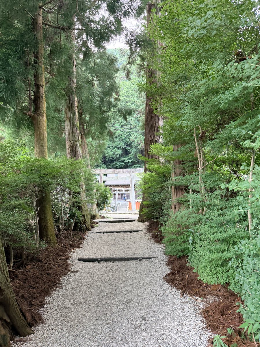 ritochi8's tweet photo. 久しぶりにいつの神社へ⛩️
🐝がいっぱい飛んでた💦(笑)
でも久しぶりの挨拶✨️モモも連れて行けて良かった🍑
    やっぱり涼しかった✨️

 #高天彦神社 https://t.co/HAXxi7J4Ip
