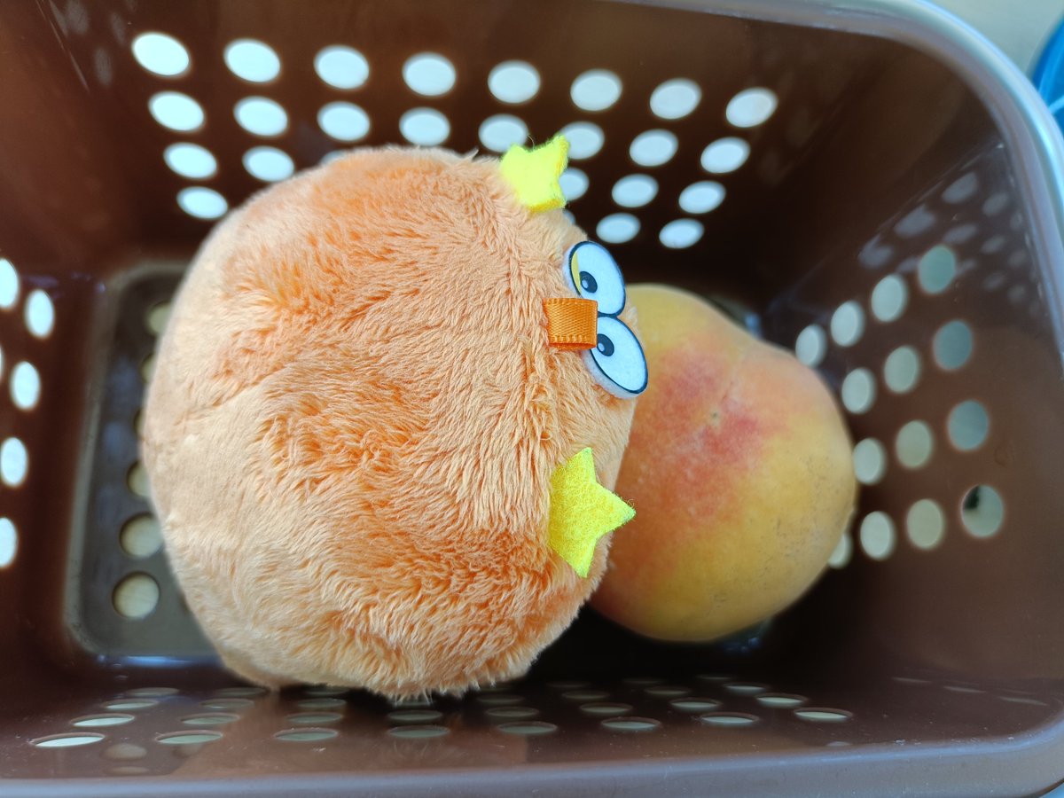 sooya_main's tweet photo. 🍑と間違って掴まれるモンモモ
黄桃なら紛れられる…！とカゴに忍び込み盗み食いするモンミツ🟠とそれを見るモンヤマ🟢 https://t.co/FTvPpsxbhC