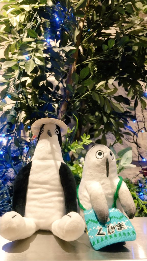 MifArt's tweet photo. #クジマ歌えば家ほろろ
昨日の錦糸町自販機POP UP想像以上に良かった!
何よりたくさんのクジマ好きさん達とリアルでお話出来た事…最高でした！九州から遠征中のお嬢さん、ぬい仲間YKさん、紙袋と写真撮らせて下さったかわいこちゃん達、そして素敵な写真を撮ってくれた美人さん、皆様ありがとうです https://t.co/9VkHlclJP7