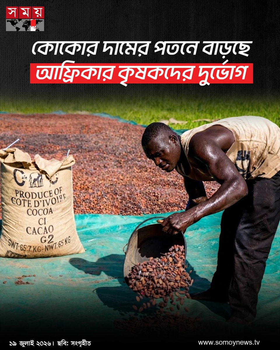 somoytv's tweet photo. বিশ্ববাজারে ২০২৪ সালে কোকোর দাম ইতিহাসের সর্বোচ্চ পর্যায়ে উঠেছিল। কিন্তু এরপর দাম প্রায় ৭৫ শতাংশ কমে যায়। এতে ঘানা ও আইভরি কোস্টের লাখো কোকো চাষি বড় আর্থিক সংকটে পড়েছেন
বিস্তারিত : https://t.co/LnPPvI04tc
#CocoaPrices #Ghana #IvoryCoast #somoytv https://t.co/fRfgA3FYk4