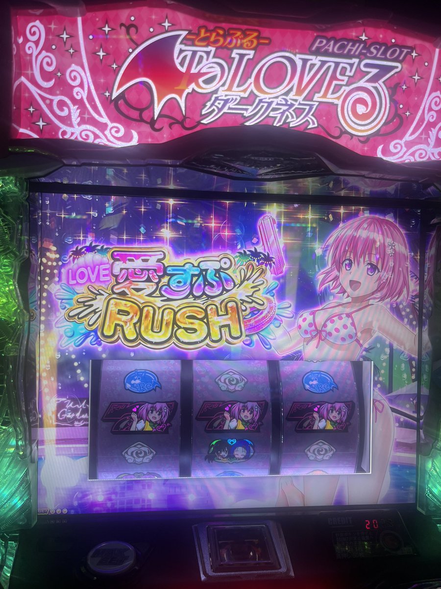 Okg_p_'s tweet photo. トリミング代稼ぎに来た https://t.co/zXKI7SE4sN