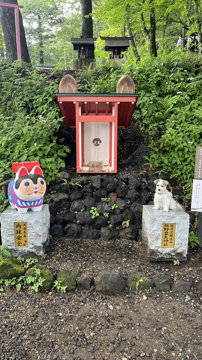 Andy20161101's tweet photo. 軽井沢、すごい混んでるー

もう夏休みなのかー https://t.co/y5fkdUNqMV