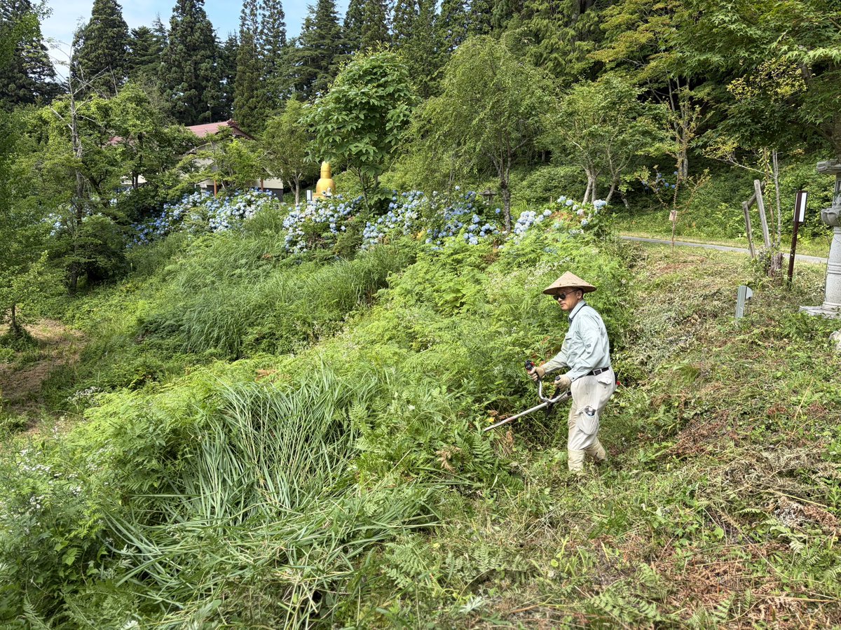 hidasenkoji's tweet photo. 檀家有志の皆さんの奉仕による、夏の環境整備作業がありました。広大な境内と参道は、山の自然とのせめぎ合いです。作業当日は来れないからと、別日に時間を作ってきてくださる方もおられ、一人一人のできる範囲で力を貸してくださることをありがたく思います。今年も、本当にありがとうございました。 https://t.co/hRcXVSsl68