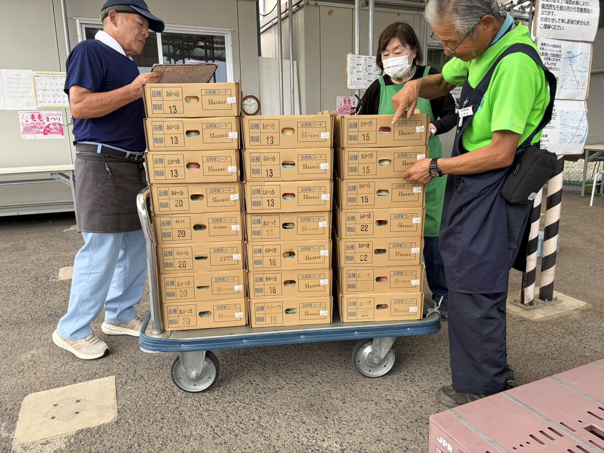 howatori's tweet photo. あかつきを食べたくて
今年初の共選場へ。
5キロ18個以上が1800円、18個未満が2000円と値上がりしたけど、買えてよかった（＾ν＾）。
#あかつき #桃 #jaふくしま未来 #共選場 #福島県 https://t.co/IsgS06dbVs