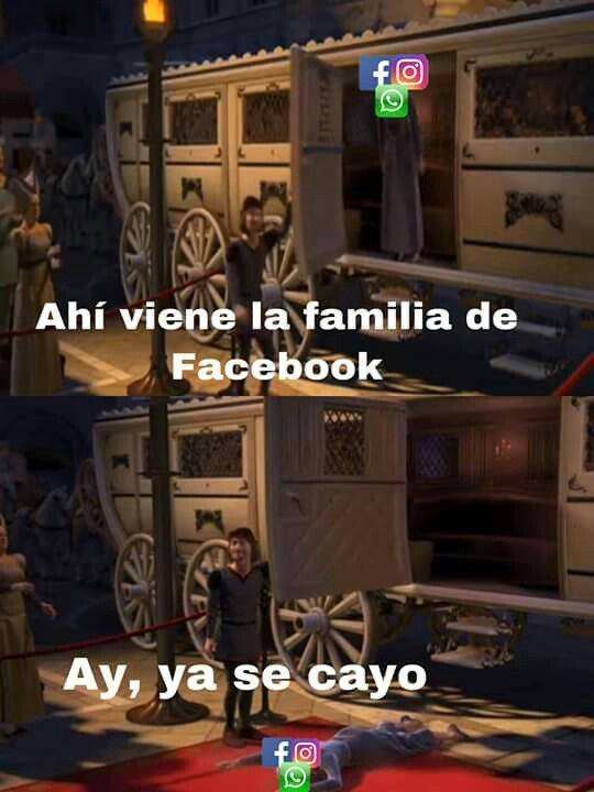 zelgadispro's tweet photo. Facebook siempre cayéndose como siempre y todos venimos a X para comprobarlo, ya se volvió costumbre. https://t.co/j2pPQwFYBt