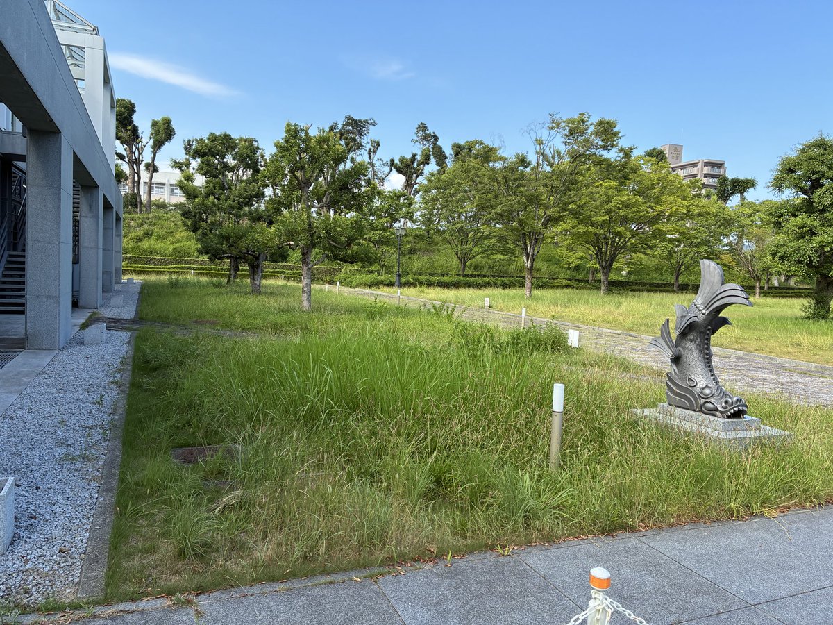shirojiichan tweet picture