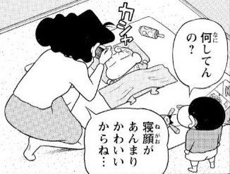 ssdraw's tweet photo. 二人目の子が来たお家の日常がサラリと描かれていてスゴイ🥲
赤ちゃんの写真を撮るみさえの気持ちも、自分の赤ちゃん時代を覚えてなくて疎外感をおぼえるしんのすけの気持ちも沁み込んでくる🥲
みさえは絶対しんちゃんの写真もいっぱい撮ってる…

引用:
『暗黒タマタマ大追跡』
作画 高田ミレイさん https://t.co/Hnb1PNs3kG