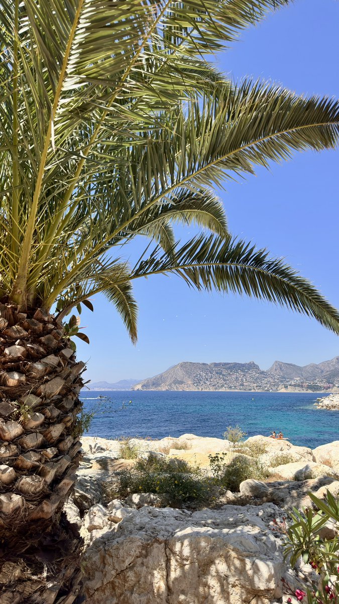 Moyv__'s tweet photo. ☀️🏝️🐚 https://t.co/inU4LPOwzR