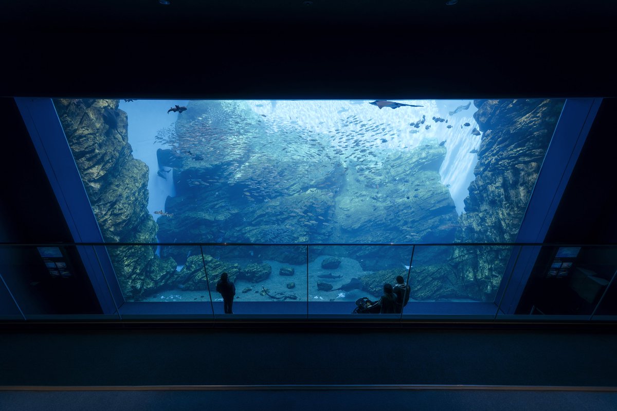 tsukarium's tweet photo. 仙台うみの杜水族館はいいぞ https://t.co/Auuaxh6B87