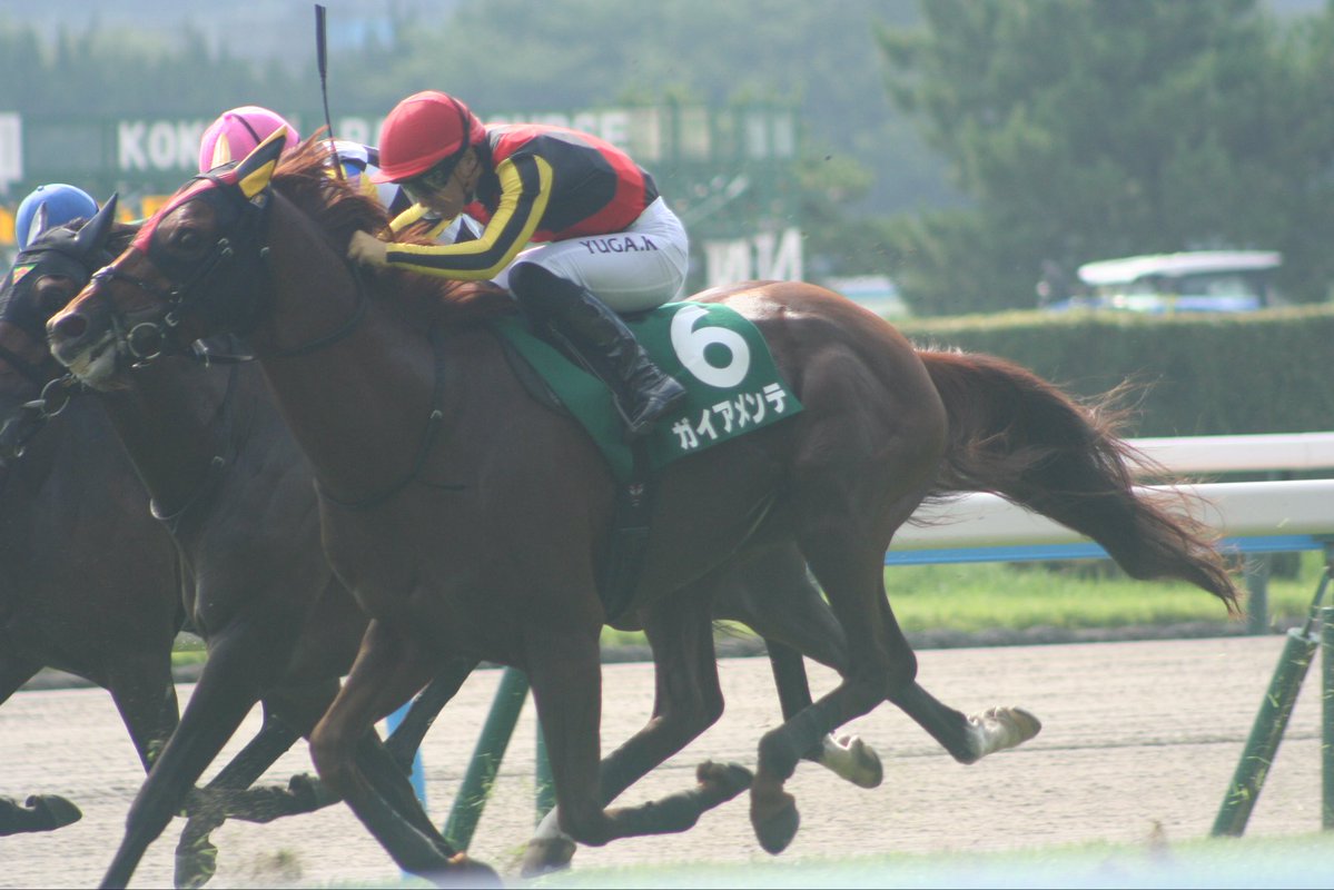 A_kai428's tweet photo. 7.19夏最後の小倉競馬
小倉記念とAぇ！groupの佐野晶哉さんが来ていたのもあり、人が凄かった！！
ガイアメンテがカメラ目線の様に見えてファンサかと思ってしまう笑笑
川田騎手の時写真上手くいくんだよな笑 https://t.co/9AxOTN13Ke