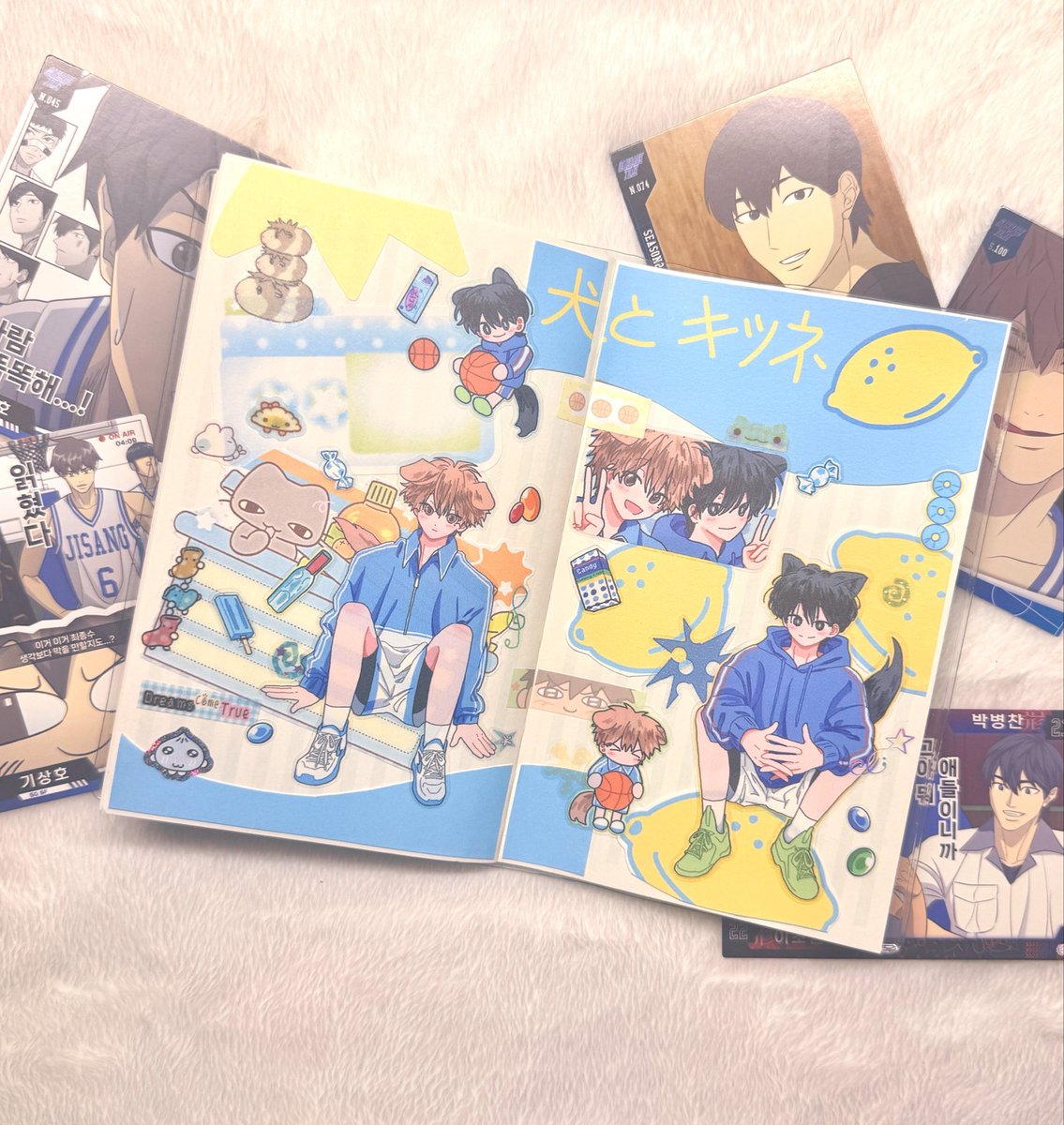 실크채 tweet media