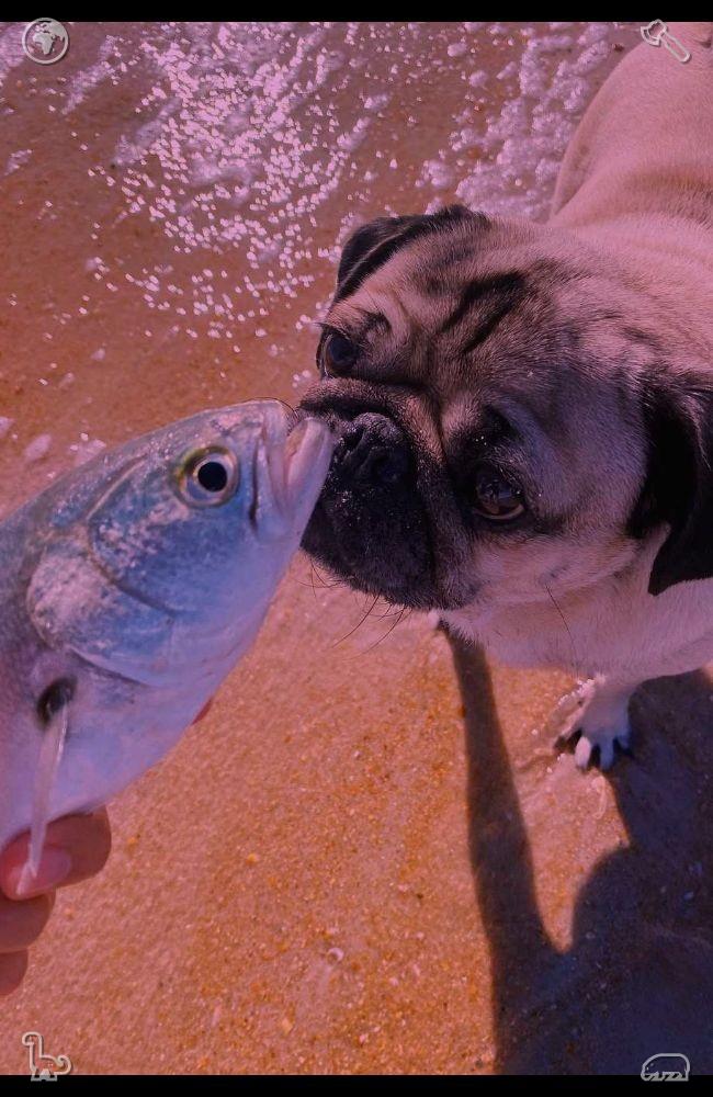 SandranadamasD4's tweet photo. 🤙Do small things with great love.784715Learn Spanish Conversation, practiced https://t.co/ryRe0WpOxe