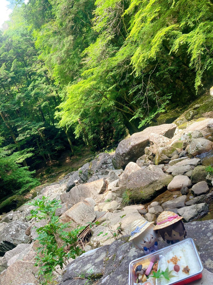 mutsubu_11's tweet photo. んまちゃのなつやすみ🌿 https://t.co/okYJuLnHWO