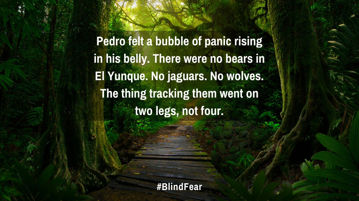 JohnDavidMann's tweet photo. Pedro felt a bubble of panic rising in his belly. There were no bears in El Yunque. No jaguars. No wolves. The thing tracking them went on two legs, not four.
@BrandonTWebb #BlindFear
https://t.co/xjbJMn1L49 https://t.co/UsOIqhPK18