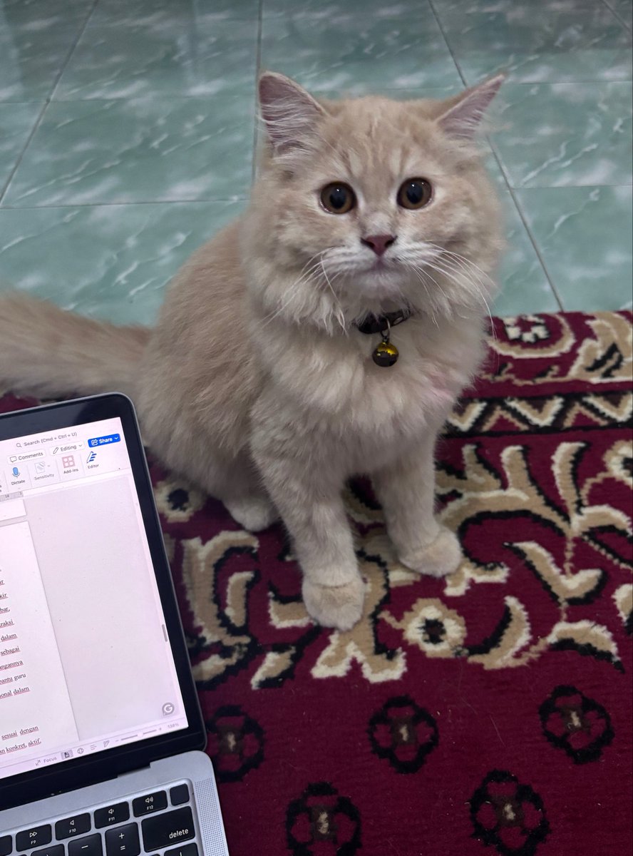 pleasenatt's tweet photo. Hari ini bondan nempel bangettt sama aku, tau aja seharian lagi pengen nangis🥲 

sayaaaaaang banget sama adeek bonboon❤️❤️
Janji yaa, adek gk boleh sakit, gk boleh hilang, gk boleh mati🥹 https://t.co/L53gFeJZp5
