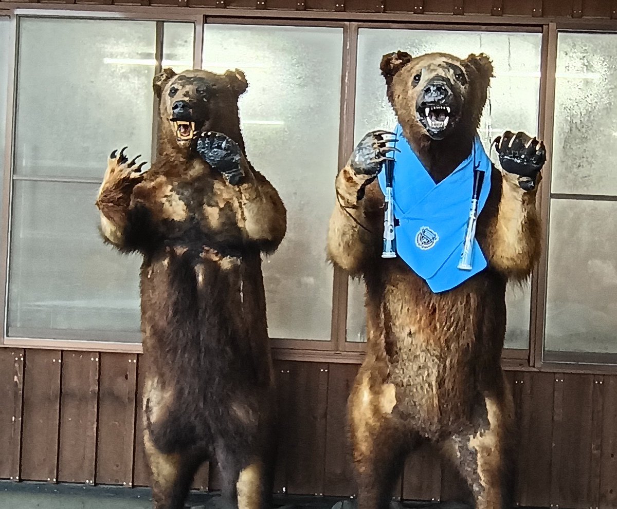 moridai1975's tweet photo. ファンサ終わったら、大沼へ。だんご美味い。そしてヒグマがフロンターレを…(笑)😁

#川崎フロンターレ
#frontale https://t.co/BtZd3fQKGv