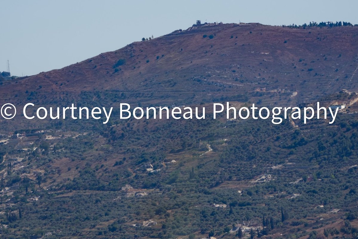 courtneybonneauimages tweet media
