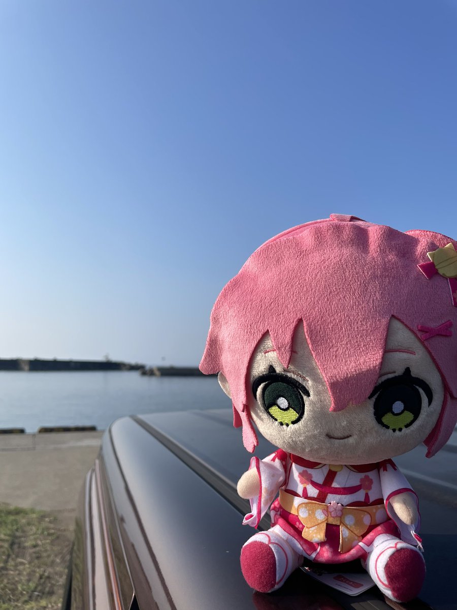 _nikonikoni's tweet photo. https://t.co/RmnEM5wiru
