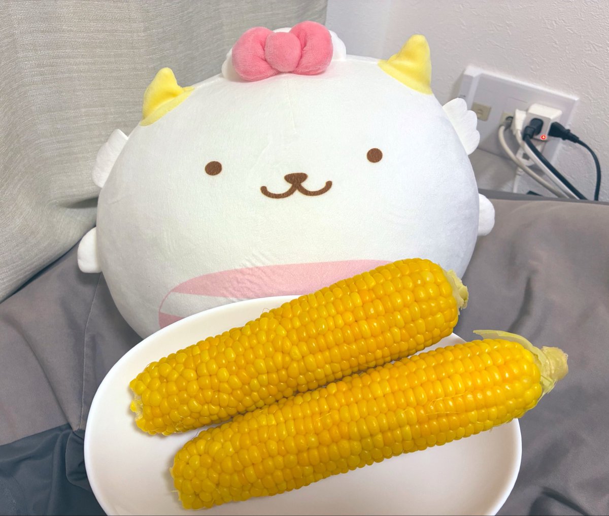 maguromoti's tweet photo. 供 https://t.co/qWVuA2exfP