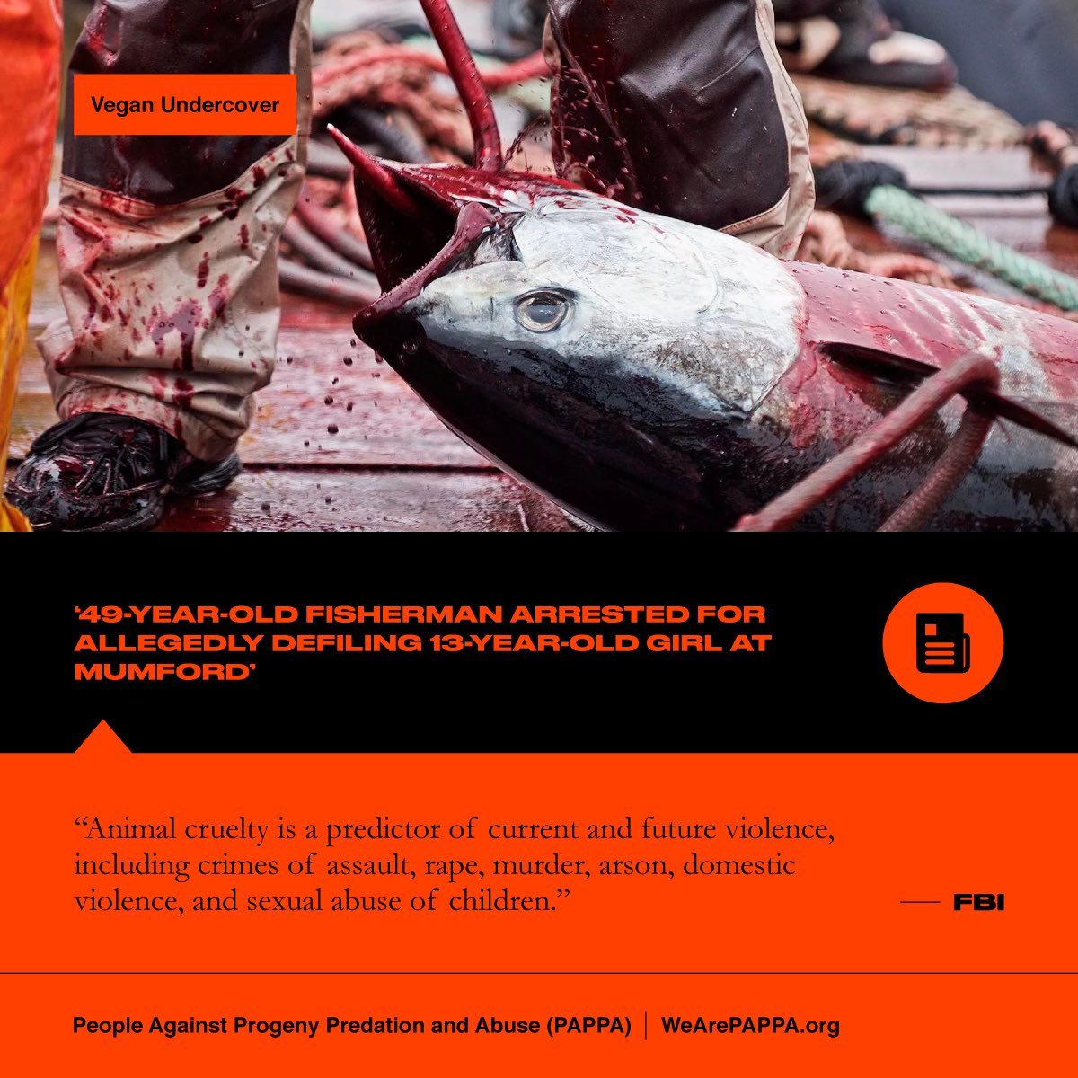 WeArePAPPA's tweet photo. #seafood #fish #crab #clams #salmon #eel #mussles #shrimp #tuna #tilapia #childsexabuse #violence #publicsafety #Mumford #Apam #Ghana #Africa https://t.co/KjhDXVCru2