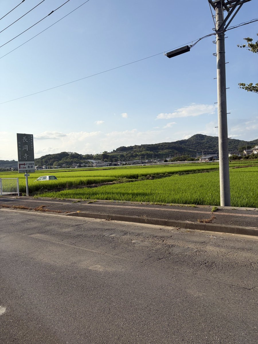 baske75w's tweet photo. のどかな田園風景だなぁ https://t.co/G9z1mDw1t0