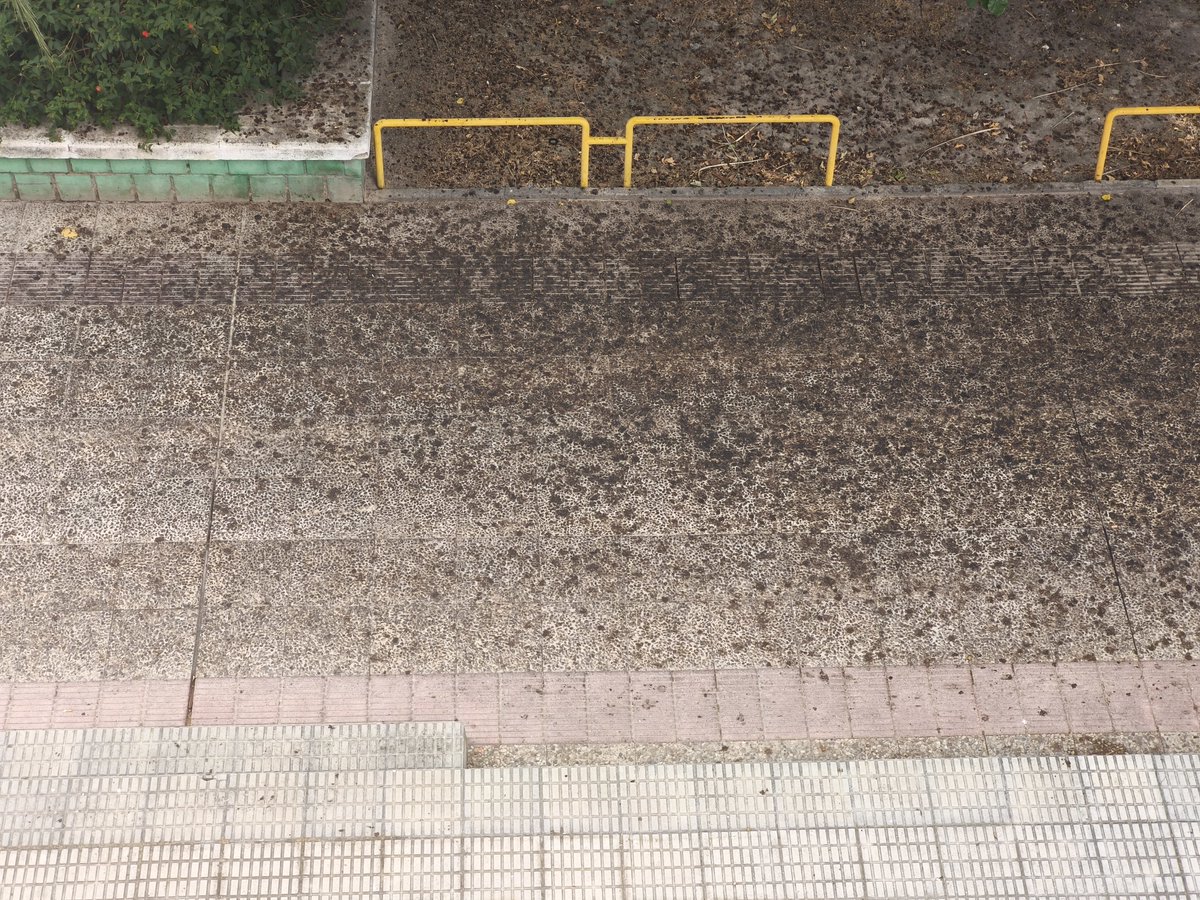 suddenly_r's tweet photo. @Rebepl @NunezFeijoo ¿También quieres una Murcia más limpia? https://t.co/iOS2f7qoep