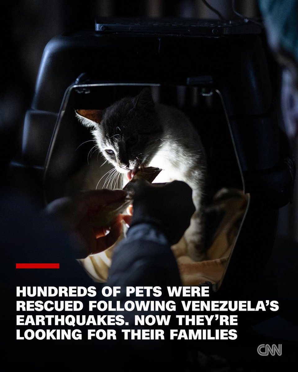 CNN tweet media
