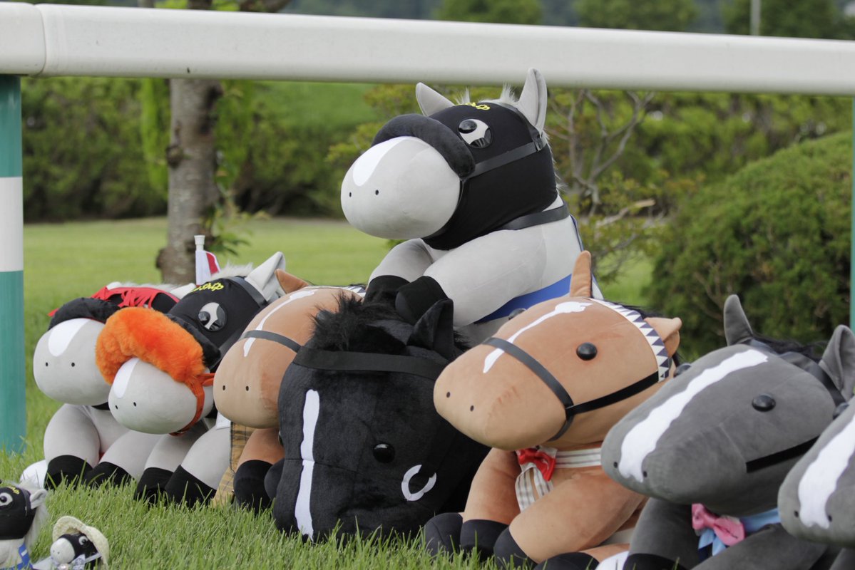 VM40921's tweet photo. 夏の福島開催
最終日楽しかった！
馬場開放に当選して、ぬい撮り始めたら…【あ、ゴルシだ❗️】で、
でかもっちを一緒においてくださった優しい方々のおかげで撮影会になりました😊
ありがとうございました😊 https://t.co/rOGyLr1pAf