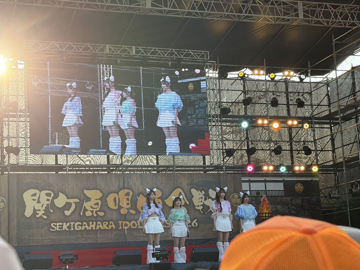 chi_nttcm's tweet photo. 王者の風格🐱

#関ケ原唄姫合戦2026
#わーすた https://t.co/PhyFsWU39f