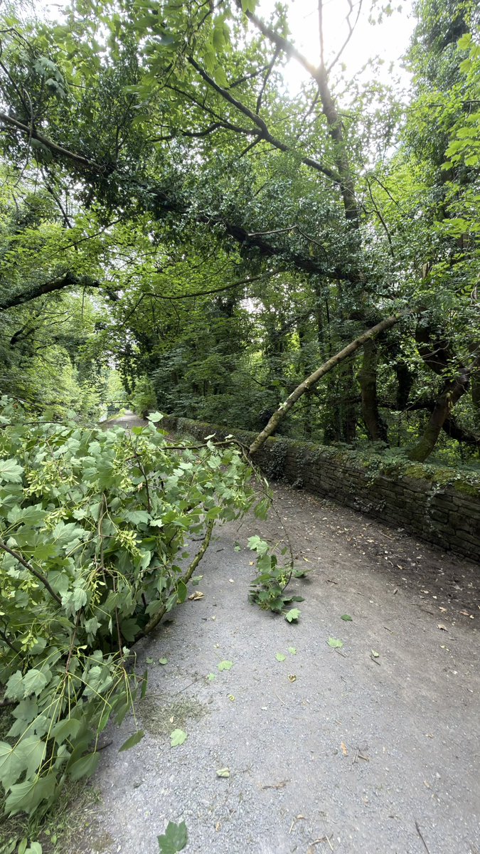 david_henry_oh's tweet photo. Large branch fallen over towpath … no problem for navigation … the end of the branch is wedged quite firmly … location just past Romiley Board Mill heading towards Romiley @CRTNorthWest @CanalRiverTrust https://t.co/wYxqhVMb5Q
