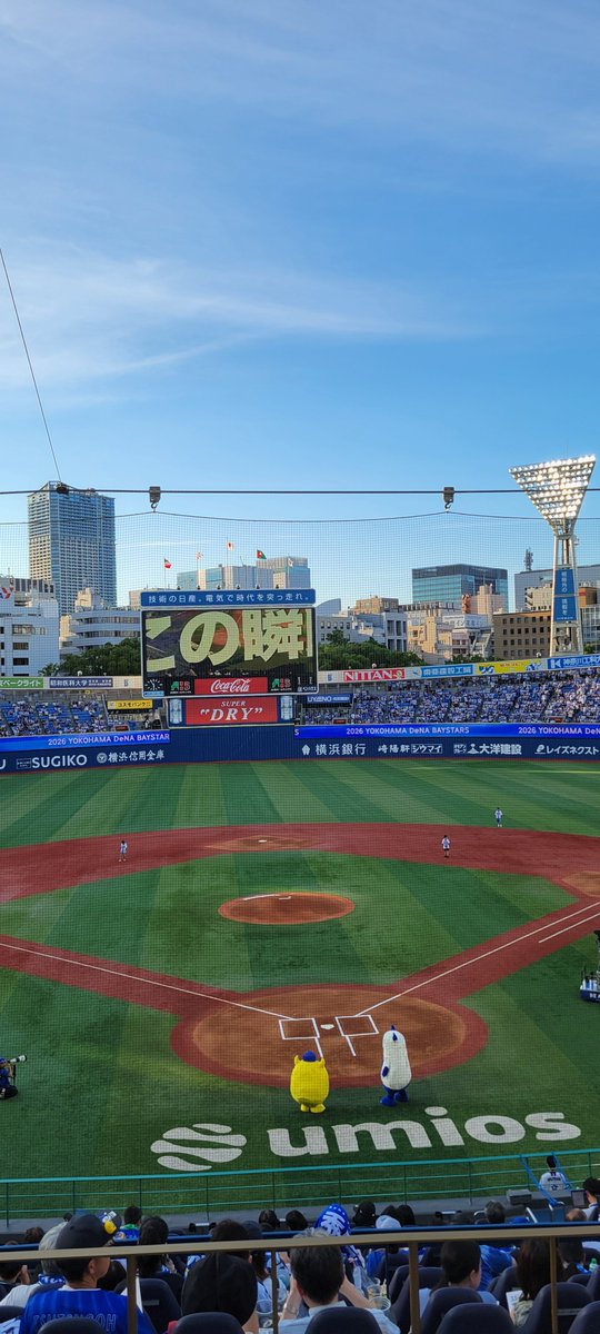 samuraiitokin's tweet photo. 初めてハマスタに参戦！！
今日こそ連敗止めるんだ！！
いっけぇ～！！

#swallows https://t.co/ulULK9x55J