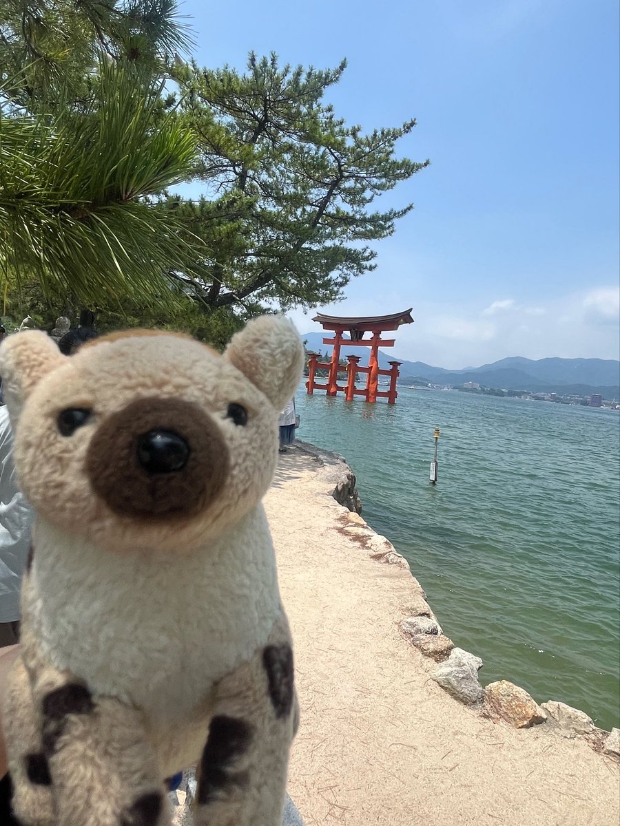 Kei_035's tweet photo. 宮島で牡蠣やあなご飯などのグルメを楽しむハイエナ https://t.co/anU25Md4Ee