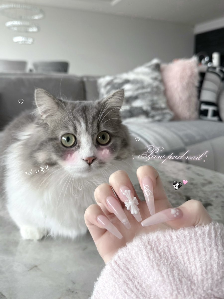 𝐿𝓊𝓂𝒾𝑔𝓃𝑜𝓃 (@lumignon__) / Posts / X