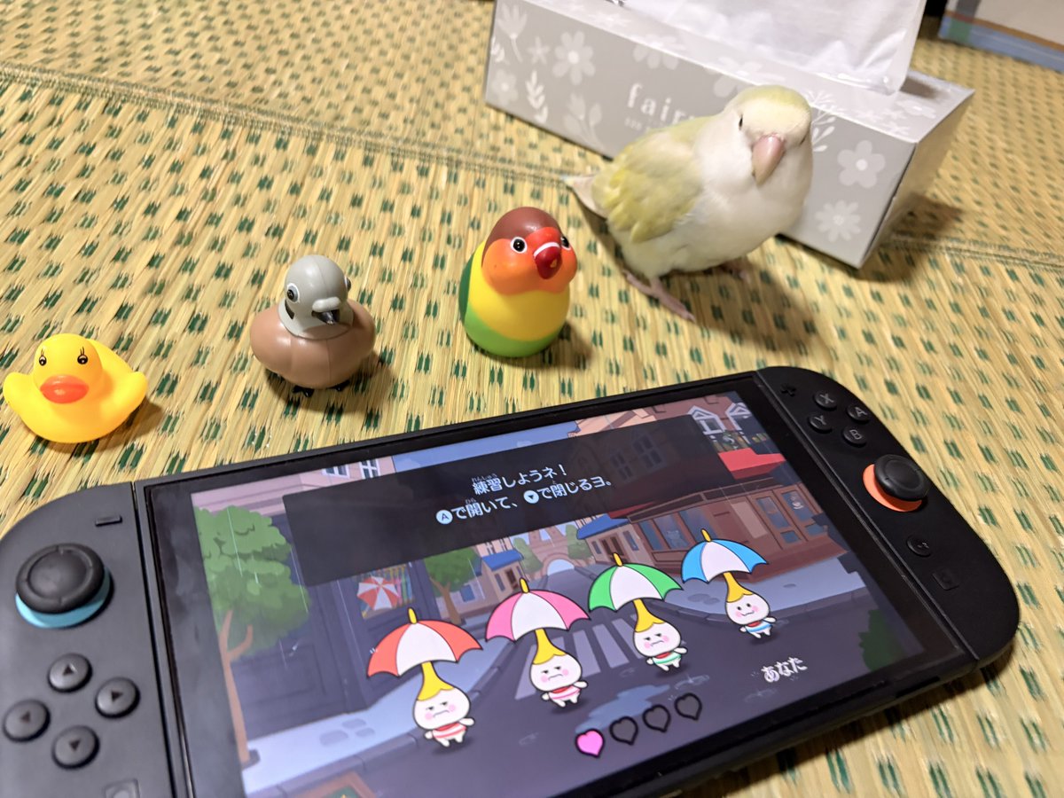 shilver2020's tweet photo. トリパホーマー🐥🐦🦜🕊

 #リズム天国ミラクルスターズ
 #カサパホーマー https://t.co/wqYlrtF9lO