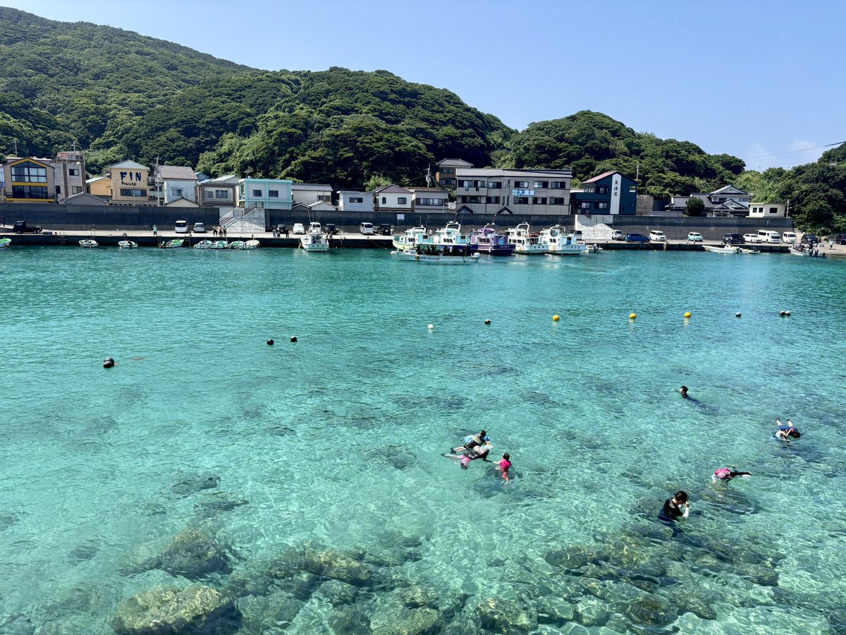 riko___61's tweet photo. 念願の柏島！透明度やばすぎ🥹
柏島ヴィレッジの海鮮丼も最高でした🐟🤍 https://t.co/KyYZhaKrAm
