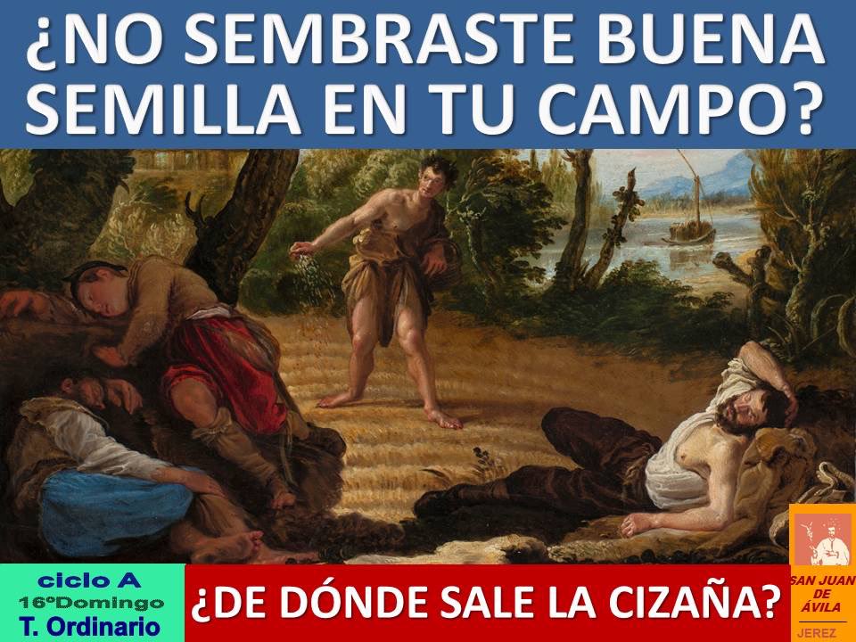 AP_SJA's tweet photo. ✝️ 16º Domingo TO

📖  Al recoger la cizaña podéis arrancar también el trigo

Dejadlos crecer juntos hasta la siega y cuando llegue diré: arrancad primero la cizaña y atadla en gavillas para quemarla, el trigo almacenadlo en mi granero

⛪️ ¡Feliz Domingo!

https://t.co/jsj5O2AApO https://t.co/rwNwJ0GS1W