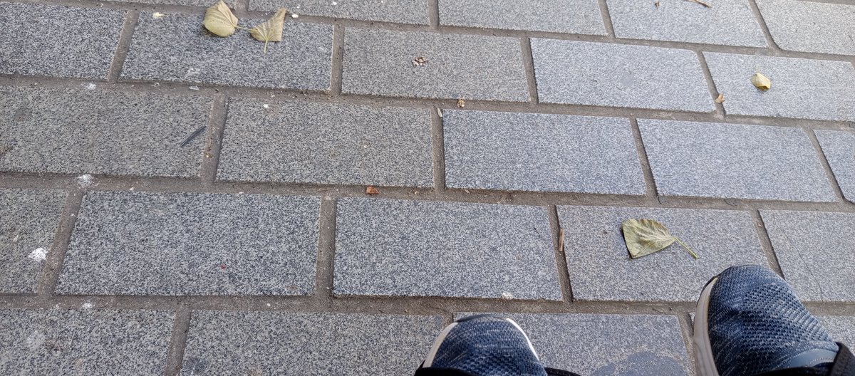 KadriOk72's tweet photo. Kaldırımları yaparken bazı şeyleri gözönünde bulunduruyor musunuz yada koltukta oturan bu olsun dediği şekilde mi yapıyorsunuz @istanbulbld ?O kadar şehir gezdim,bu kadar rahatsız olduğum bir yer olmadı.1 parmak derz arası tekerlekli sandalyeyle gezerken bizi çok rahatsız ediyor. https://t.co/MdJPvd9VcR