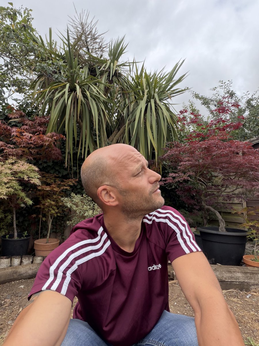 stuartthesecond's tweet photo. @TheNorfolkLion Tried to replicate the pic in my garden I was close I think 🤔 https://t.co/RhiMGKQtuu