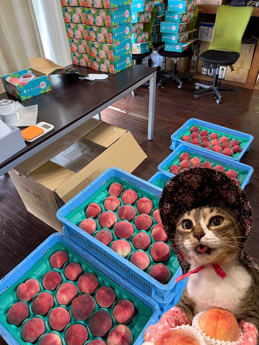 kokonananya's tweet photo. 桃の配送📦がピークを迎えています🍑✨ https://t.co/NKRkE8cMiC