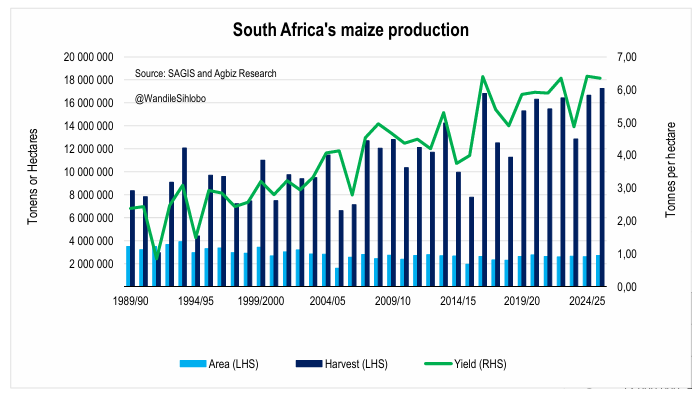 WandileSihlobo's tweet photo. A NOTE ABOUT THE MAIZE HARVEST PROGRESS IN SOUTH AFRICA

One thing South Africans can be assured of this year is a plentiful supply of maize. This is a comforting position ahead of what may be a challenging El Niño drought season from October 2026 onwards.

The ample grain supplies are from the 2025-26 production season, which is at its tail end. But the season faced its own challenges, leading to a late start.

Nevertheless, it continued well, and the country is now expecting a record 17.3 million tonnes of maize. But its late start also meant that the harvest is delayed compared to usual.

In the eleventh week since the start of the new marketing year in May 2026, the farmers had delivered to commercial silos about 7.8 million tonnes of maize. This is 10% behind the previous season’s pace. This implies there is a lot of work ahead, given the expected harvest of 17.3 million tonnes.

Indeed, there is some on-farm storage that may slightly distort the deliveries. Still, the season is running late.

It may as well be that the harvest will continue through to September, which will be just weeks before the start of the new season.

Another heartwarming point about this year is that most of the maize remains in good condition. Therefore, the late harvest hasn’t caused material issues for the expected ample maize supplies.