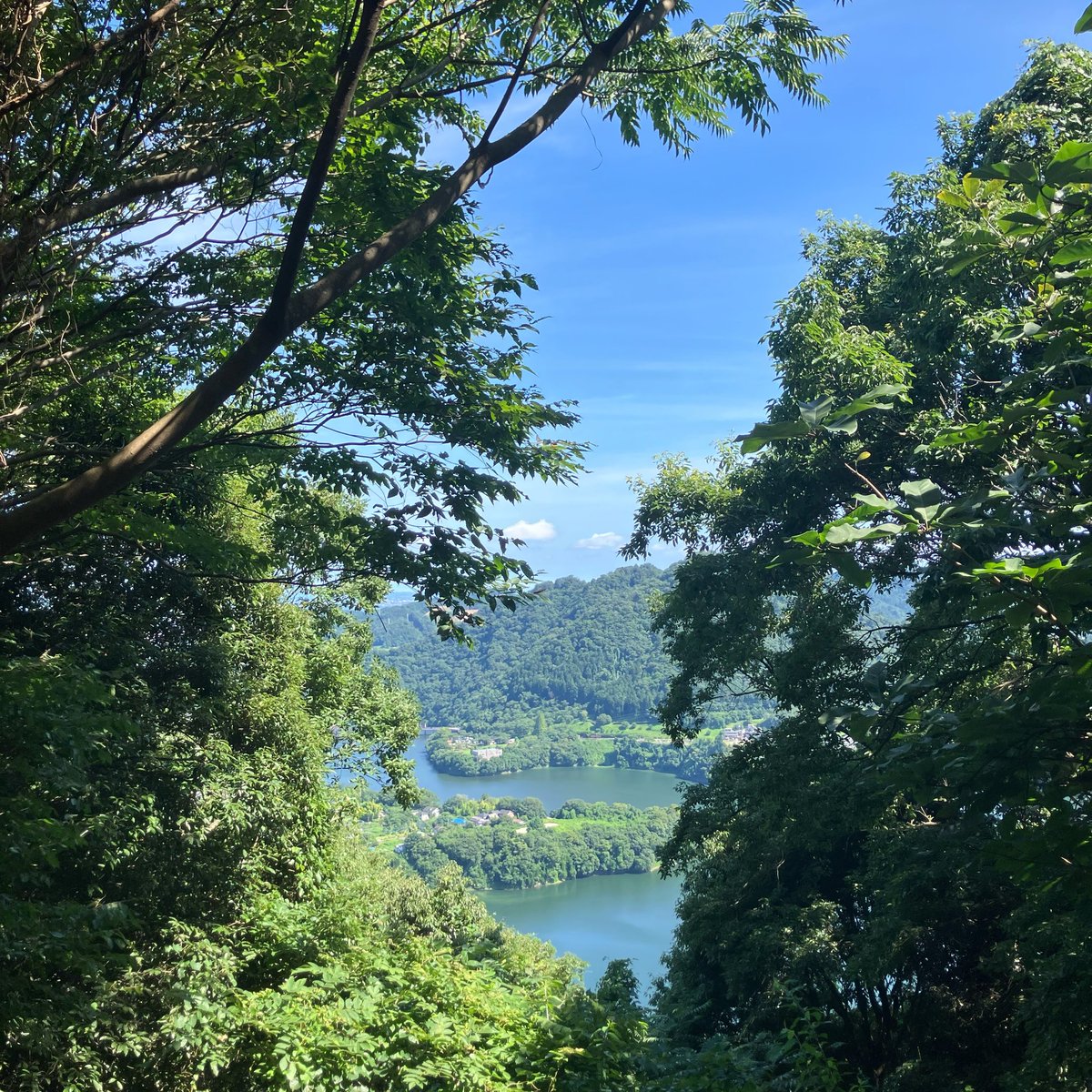 _surumeika's tweet photo. 今日は普通の山歩きコースなのに暑くて最後まで歩けるか途中でちょっと不安になってしまった。歩いたけど！ https://t.co/1wEEP0UpHN
