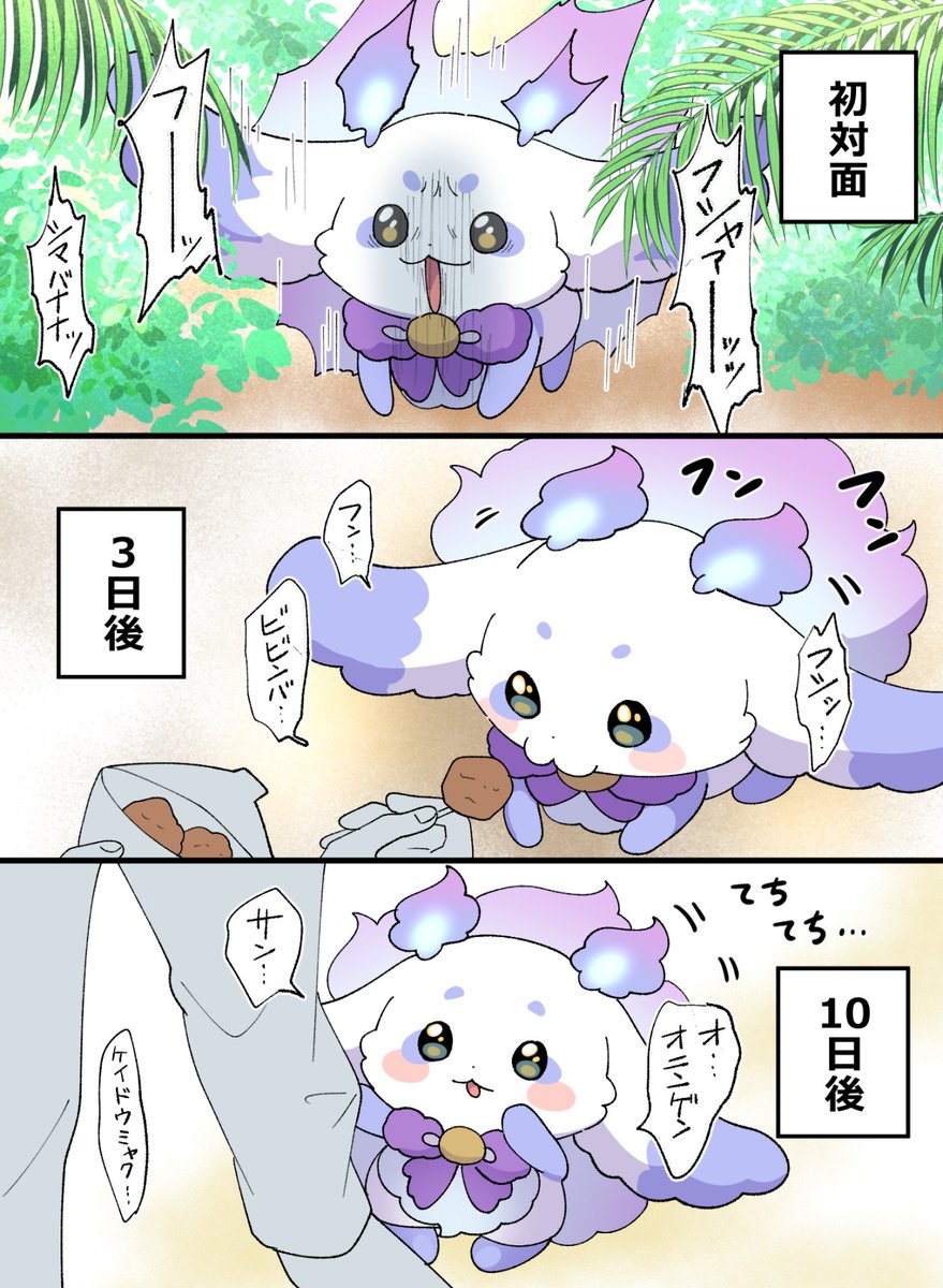 netuarutoki's tweet photo. 野生のルンルンが懐くまで https://t.co/7r8ja2rcvN