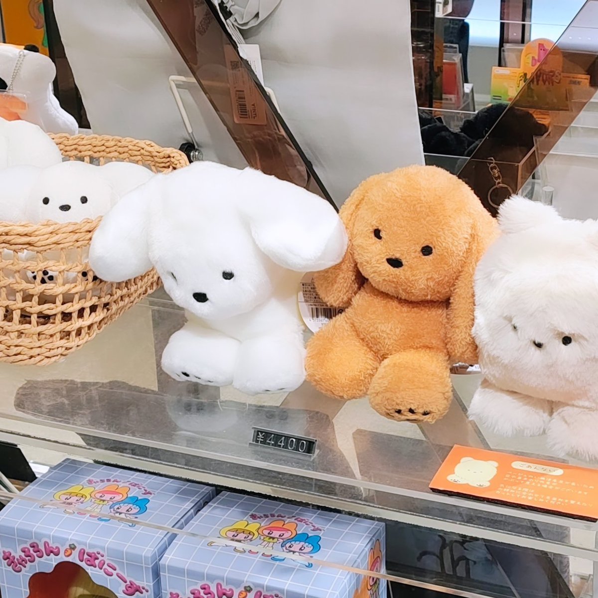 teraoka_natsumi's tweet photo. 東京駅で発売中の犬のぬいぐるみを見に行きました🐶🐶🐶
お店：VINYL @VinylTokyo
JR東日本東京駅構内1F グランスタ https://t.co/OHDPstEgn0