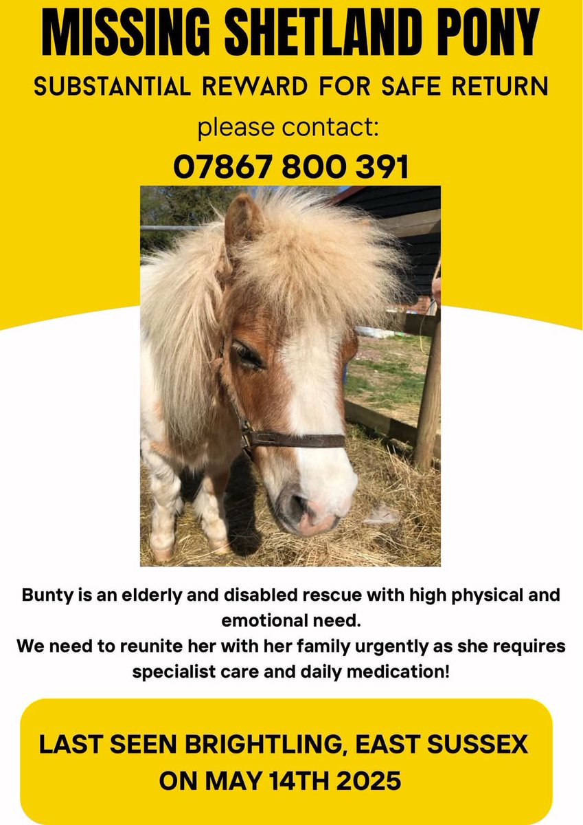 team_greenacres's tweet photo. 🚨MISSING SINCE 14TH MAY 2025 - Can you share to help get Bunty home please🚨

Bunty, 27 year old #Shetlandpony

📍Missing from: #brightling #eastsussex @brightonargus @Brighton_tweets

🗓 Missing since: 14.5.25

🏥Bunty is disabled & requires medication🏥

Bunty has never been apart from her Mum & poor Mum is pining for her👇

https://t.co/zPUCytbLmS

📞 Please Call Number On Poster Below👇 If You See Bunty👇

OR

Anyone with information can report it to Sussex Police & quote serial 637 of 14/05

OR

☎️Call 101 or Crime Stoppers anonymously on 0800 555 111

#teamgreenacres #rescue #stolendoghour #rehomehour #ponyhour #missingpony #foundpony #stolenpony #lostpony