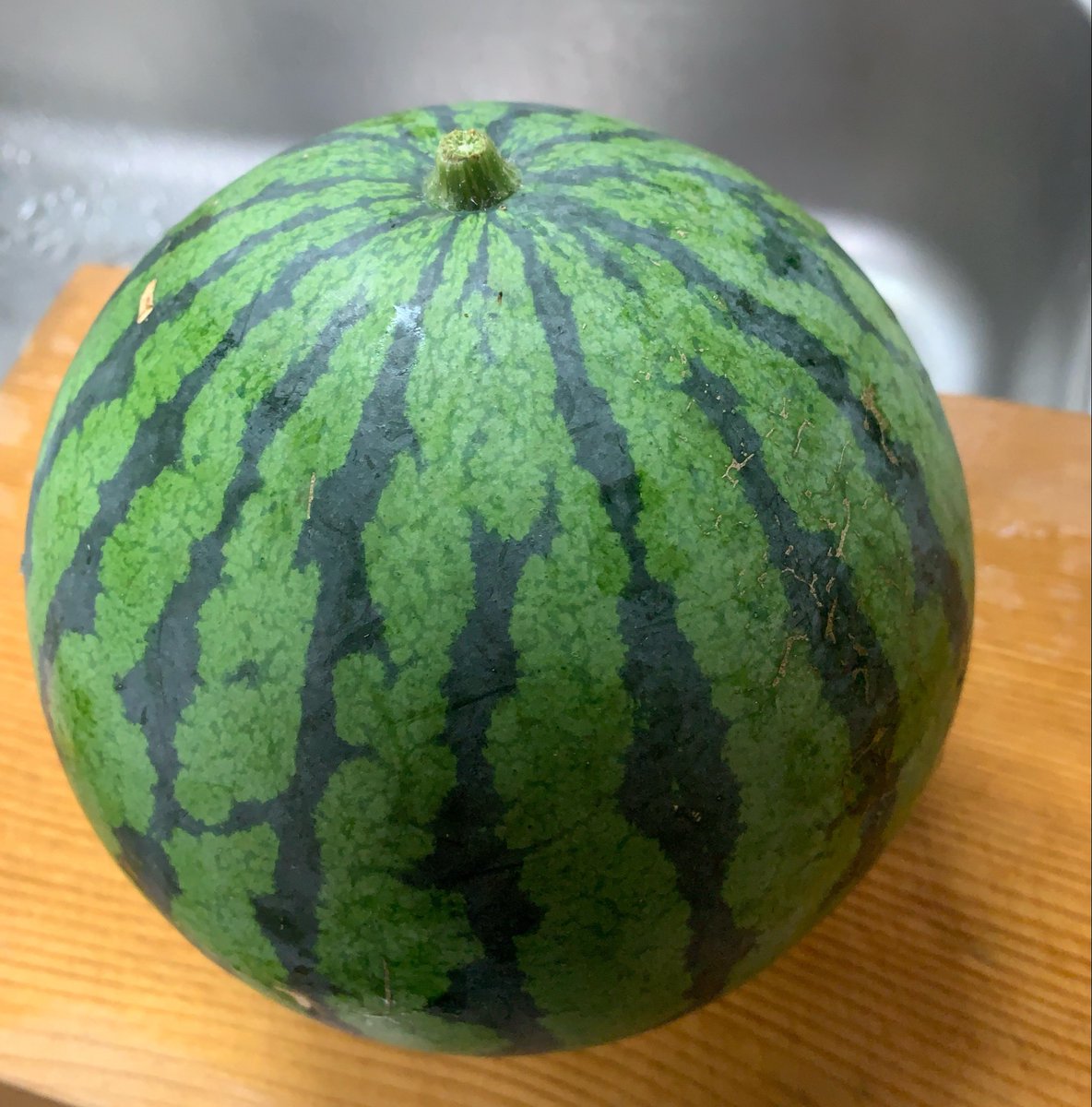 seedpaseri's tweet photo. 相方が初めて作った西瓜🍉を収穫。
大玉のはずが、なぜか小玉サイズ（笑）
まずまずの甘さでした😋
#家庭菜園 #スイカ https://t.co/hqGTCnr4E4
