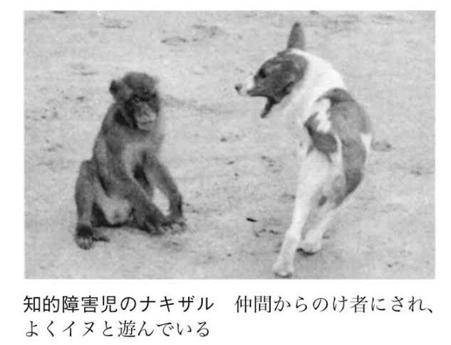 ARPK_tuihai's tweet photo. よく考えたらネットの仲良い知り合い大体年下で今これ https://t.co/tWYIKUDZyz