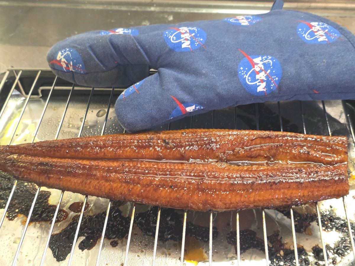 kamoshike's tweet photo. うな重用の箱は無いので四角いグラタン皿で代用。でかい焼きウナギだったのでコンログリルに入りきらずオーブンを用いました。飯への酢投入量はかなり控えめにしています🐈 https://t.co/s9wPX2Z8DY