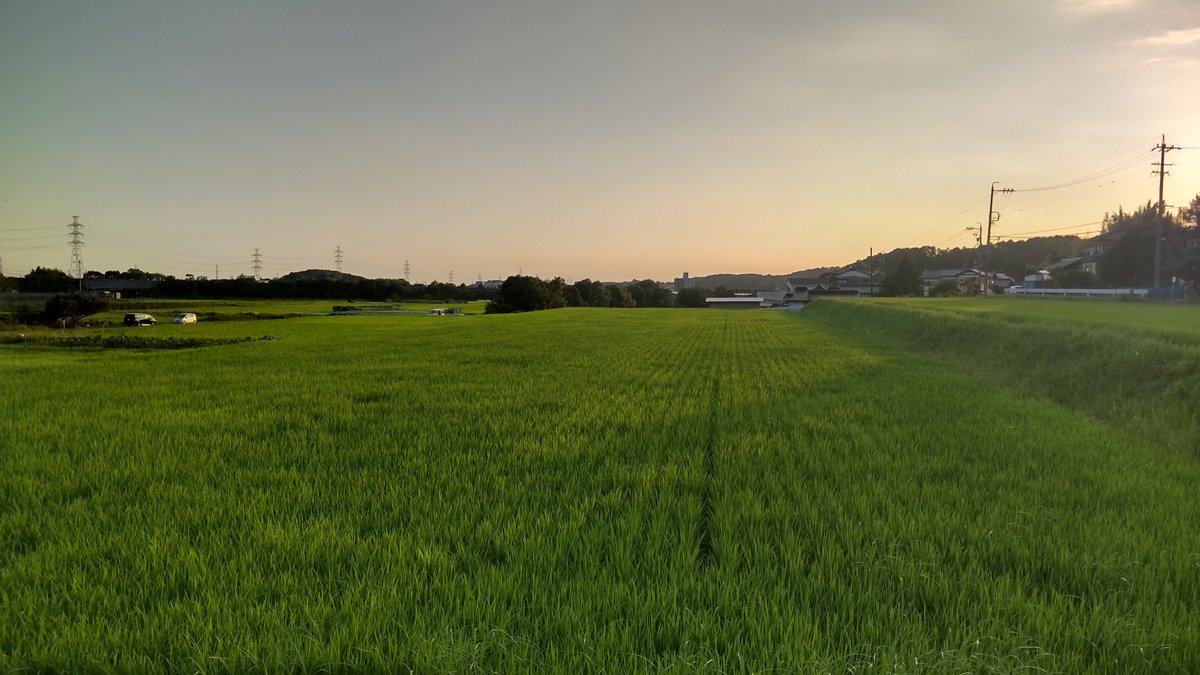 otokuragi's tweet photo. 散歩コースへ🌿愛知用水の側道の草が刈られていた、アスファルトの隙間で力強く育つ草にいつも感動していたので少し寂しい、緑と水音に癒やされる、今日は12/18宗次と11/14同窓会の曲目決まる、松田聖子の青い珊瑚礁も🎶これから7/30のアンパンマンとさんぽの弾き語り練習、他桜にライブ今の充実に感謝 https://t.co/UzGLTbMiff
