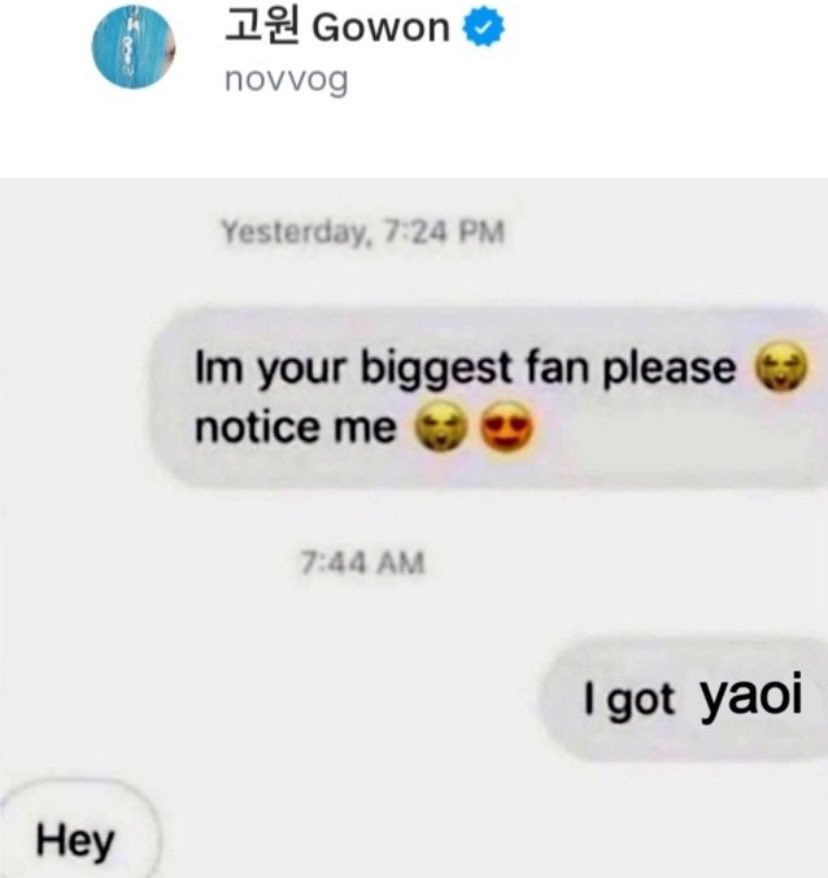 gowonzer tweet media