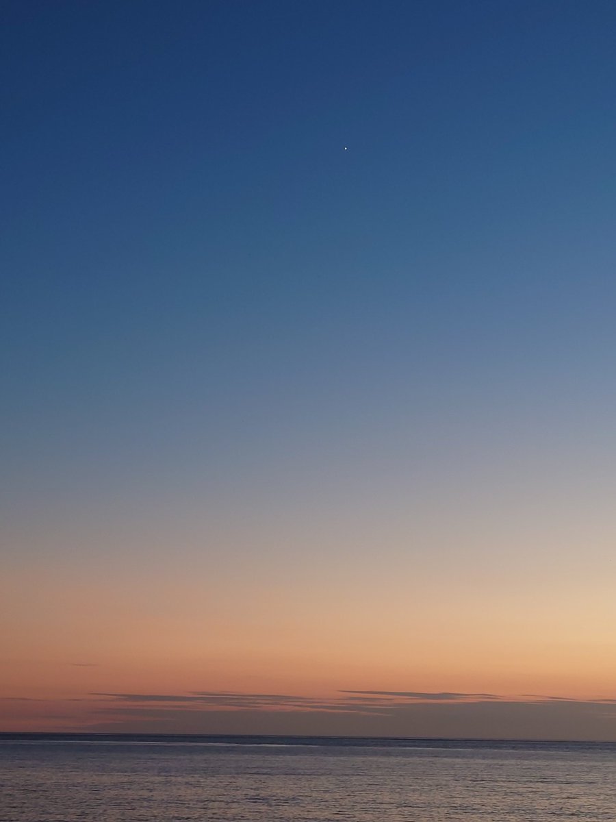 bellblue0420's tweet photo. 金星、来た https://t.co/X4DbAhPMrt